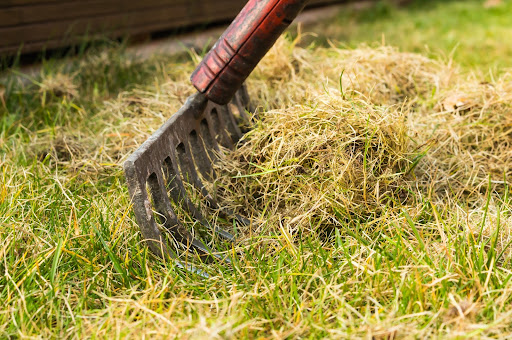 raking your lawn